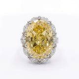 Canary Yellow